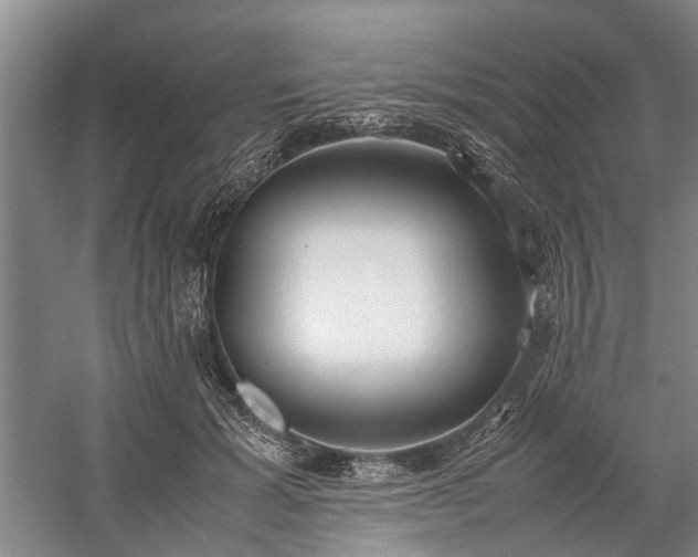 X0000060260605200510281207