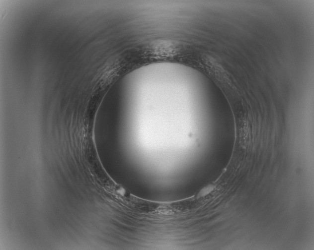 X0000060260608200510281207