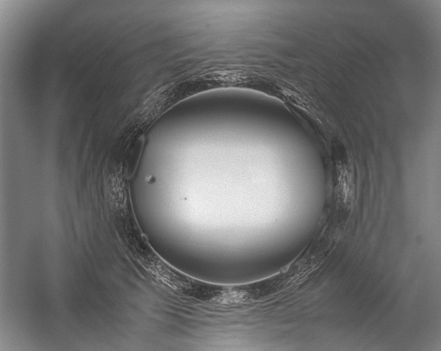 X0000060260609200510281207