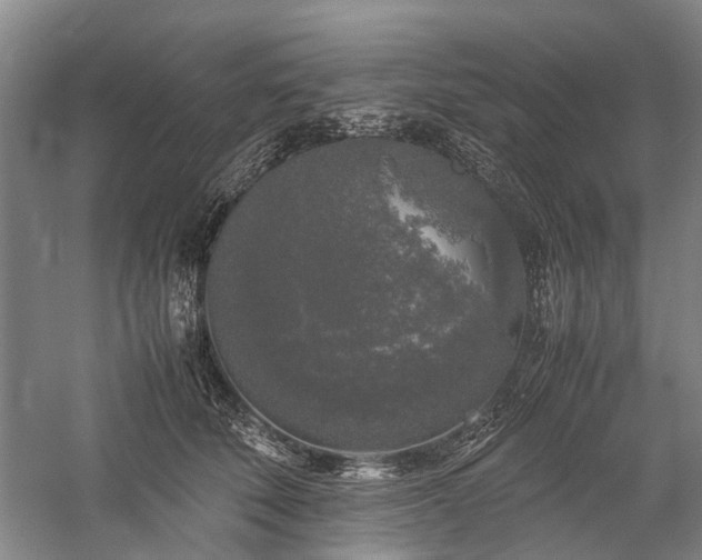 X0000060260610200510281207