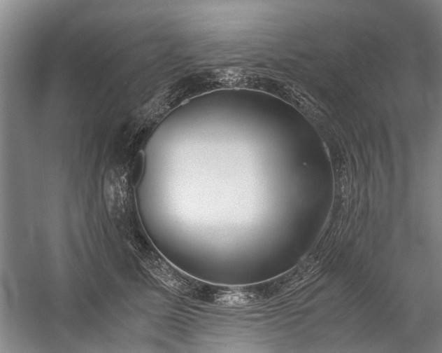 X0000060260611200510281207