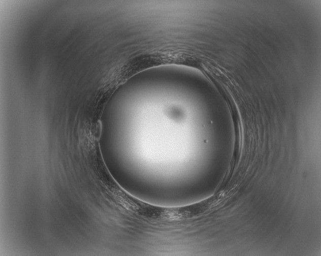 X0000060260613200510281207