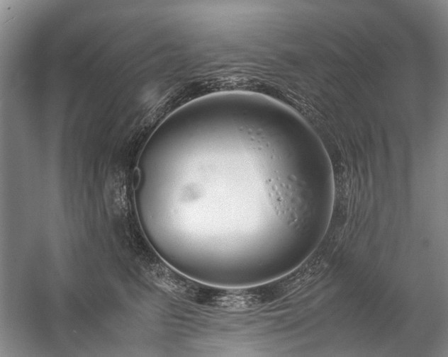 X0000060260615200510281207