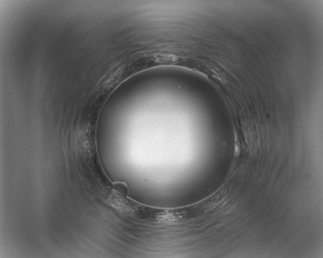 X0000060260616200510281207