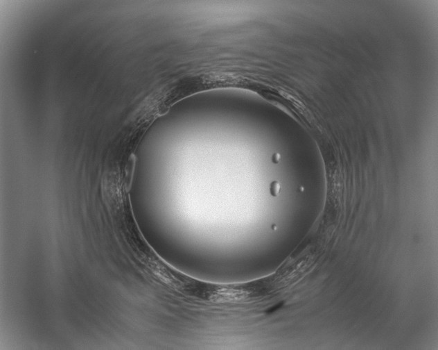 X0000060260617200510281207