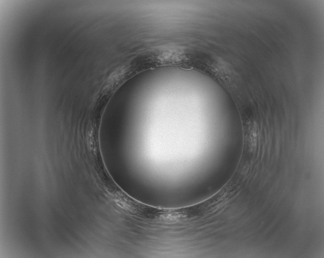 X0000060260619200510281207