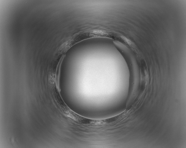 X0000060260621200510281207