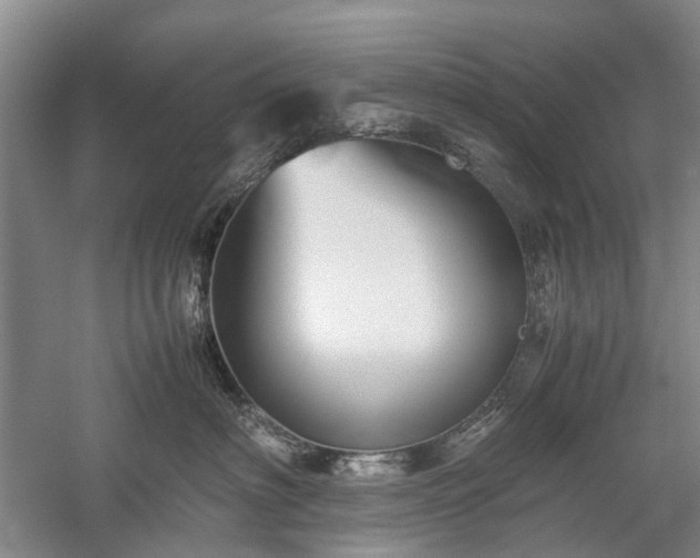 X0000060260622200510281207