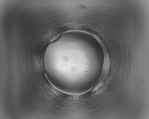 X0000060260624200510281207