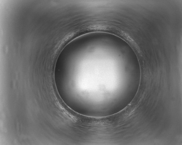 X0000060260625200510281206