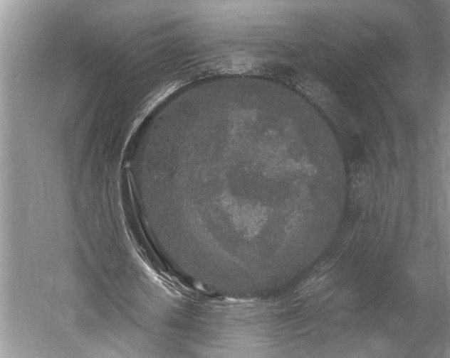 X0000060260626200510281206