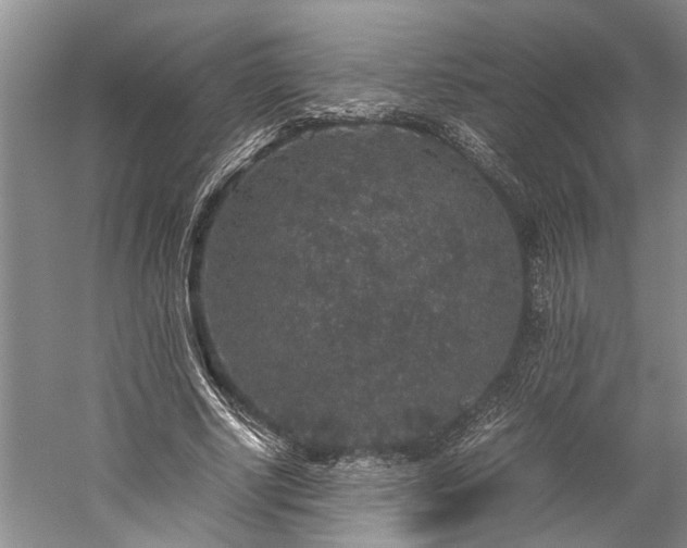 X0000060260634200510281206