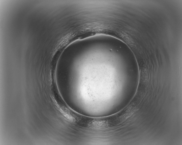 X0000060260638200510281206