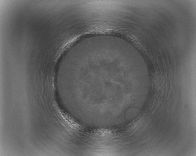 X0000060260640200510281206