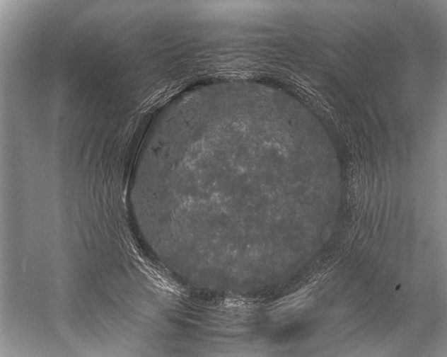 X0000060260641200510281206