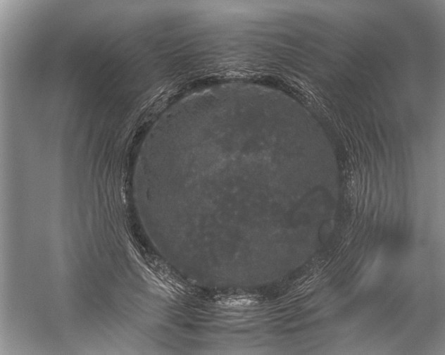 X0000060260643200510281206