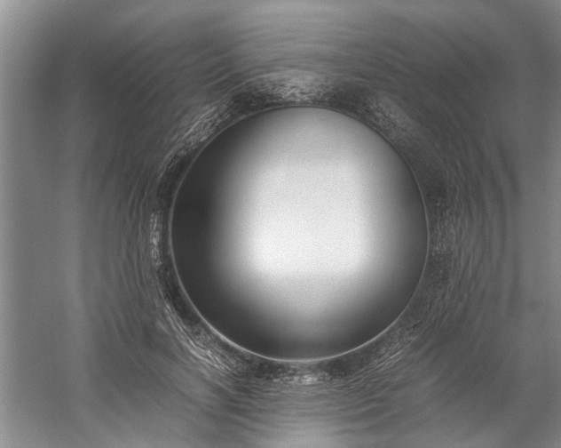 X0000060260646200510281206