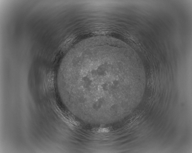 X0000060260647200510281206