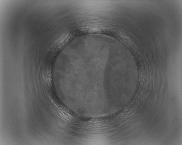 X0000060260648200510281206