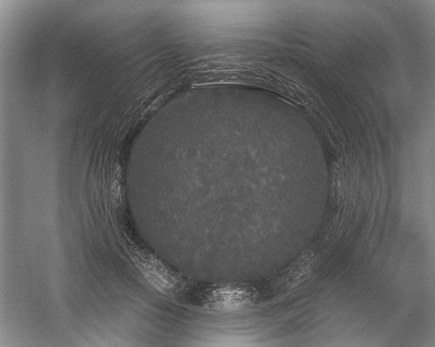 X0000060260650200510281207