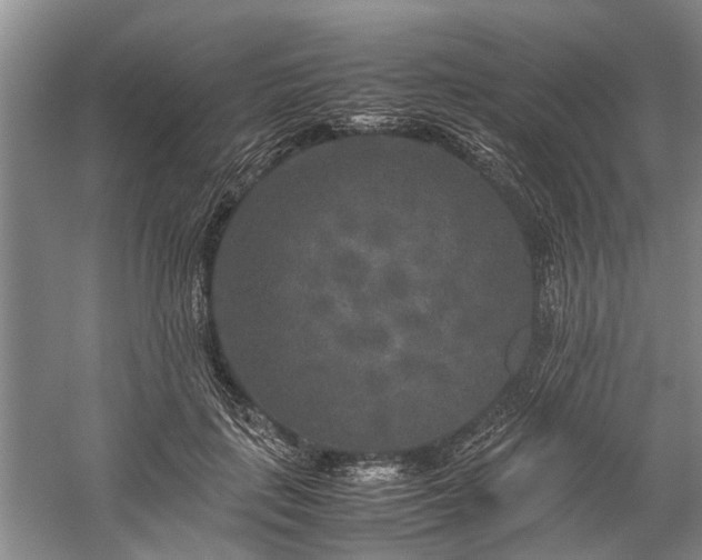 X0000060260651200510281207