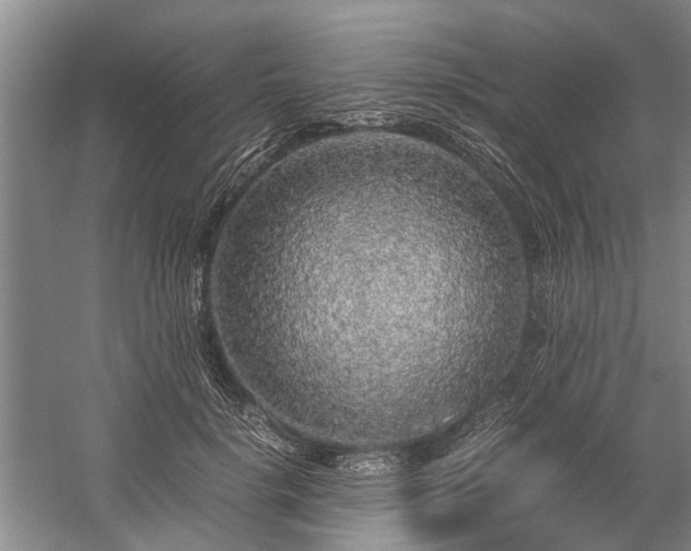 X0000060260652200510281207