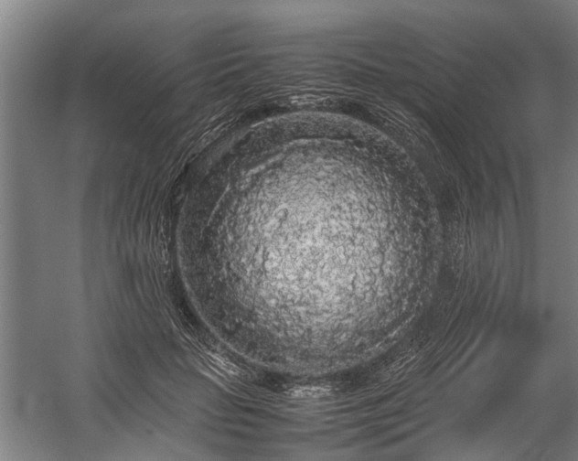 X0000060260653200510281207