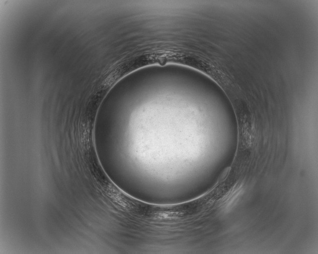 X0000060260657200510281207