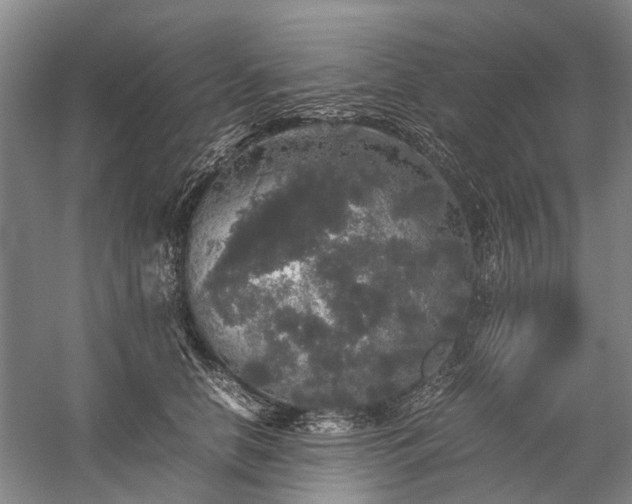 X0000060260658200510281207