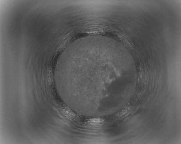 X0000060260659200510281207