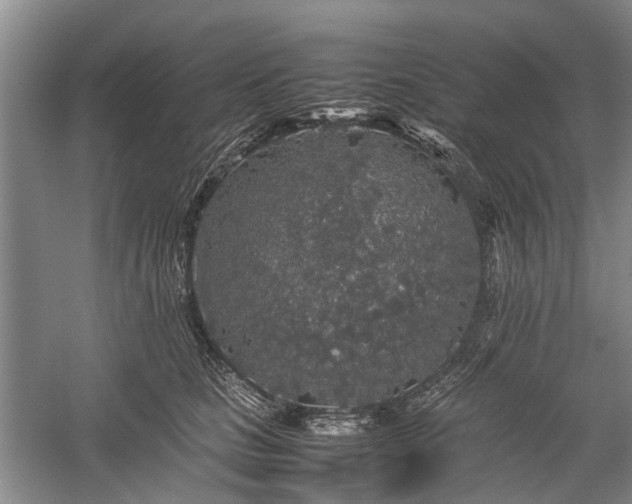 X0000060260661200510281207