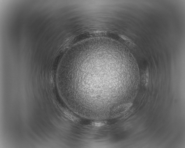 X0000060260662200510281207