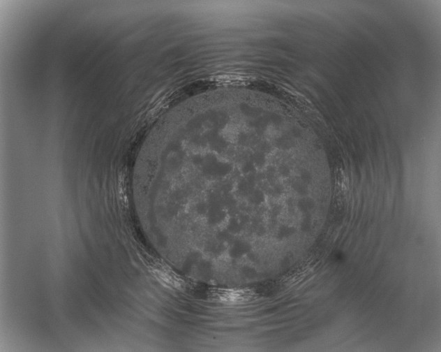 X0000060260663200510281207