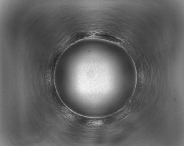 X0000060260665200510281207