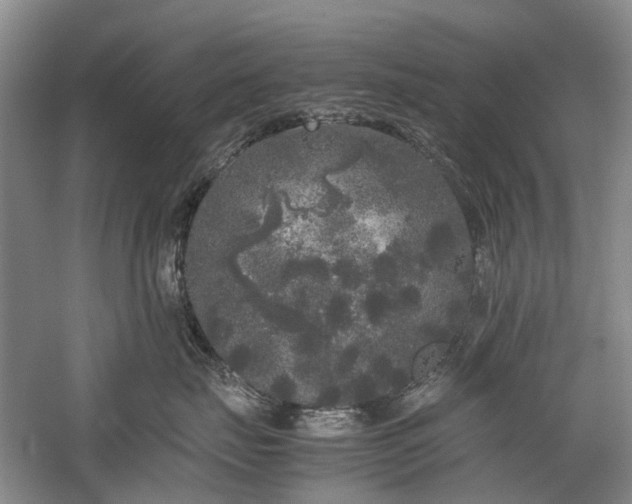 X0000060260671200510281207