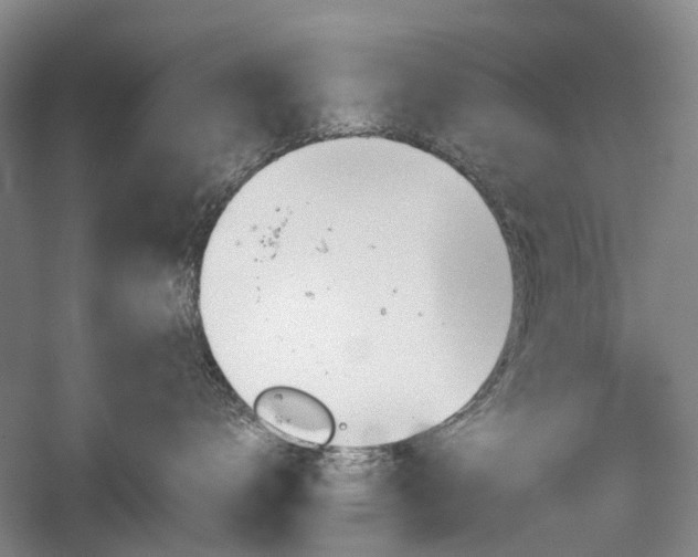 X0000060260672200510281207