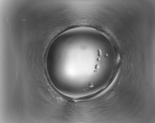 X0000060260673200510281206