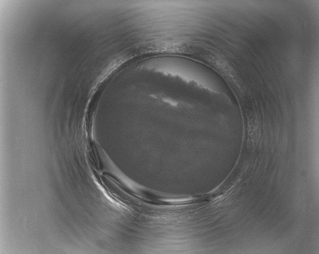 X0000060260674200510281206