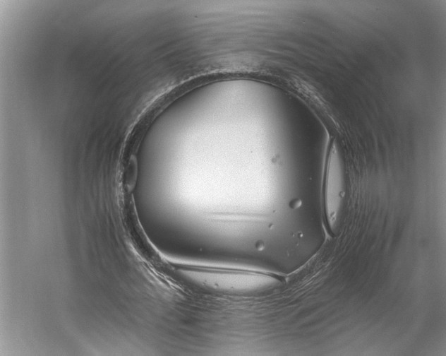 X0000060260676200510281206