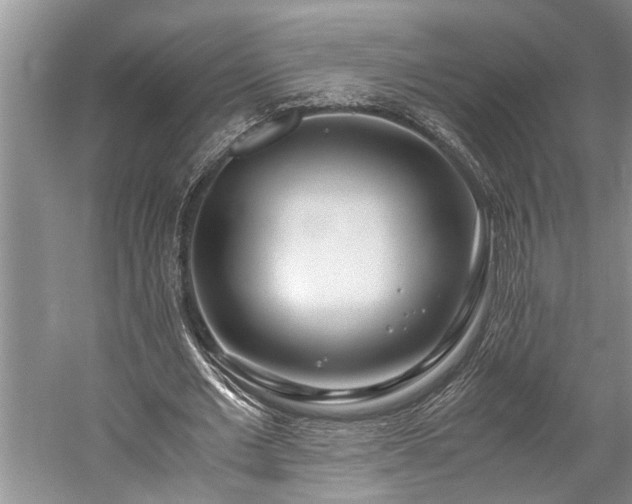 X0000060260677200510281206