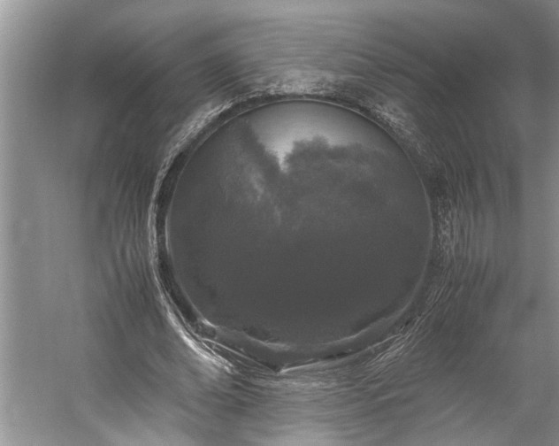 X0000060260678200510281206