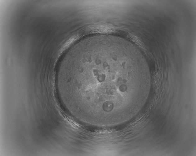 X0000060260679200510281206