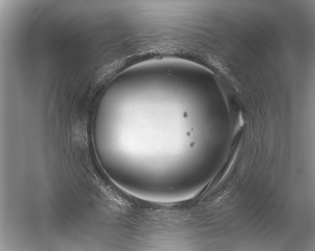 X0000060260681200510281206