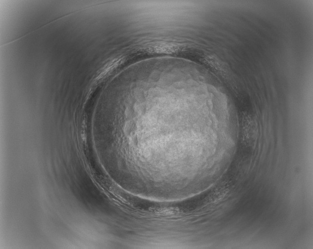 X0000060260683200510281206