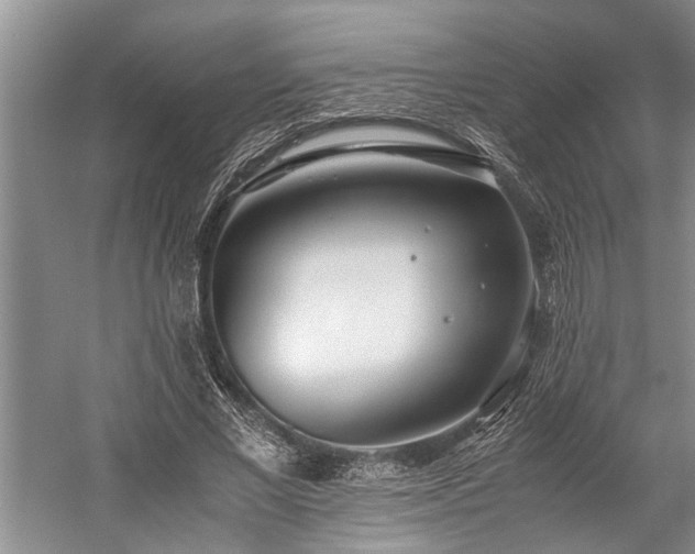 X0000060260685200510281206