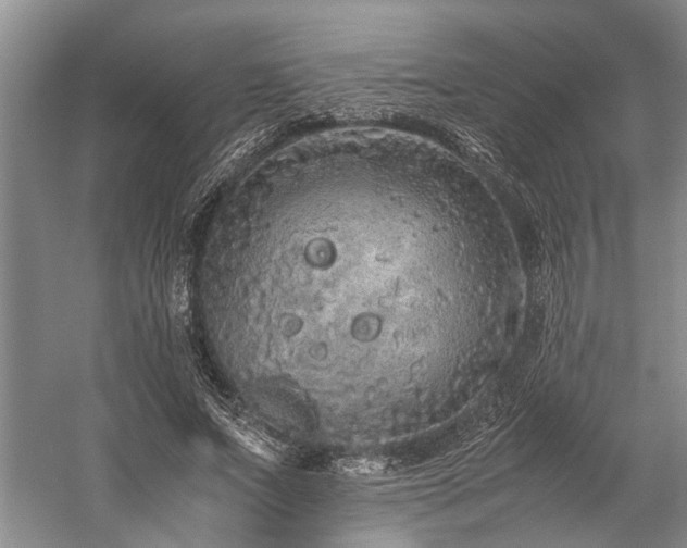 X0000060260687200510281206