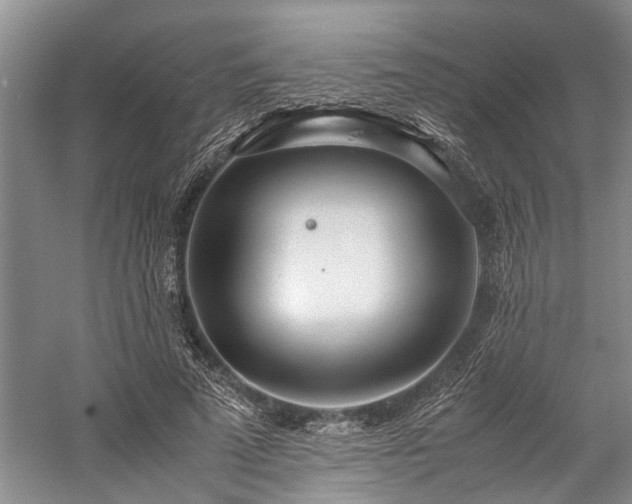 X0000060260689200510281206