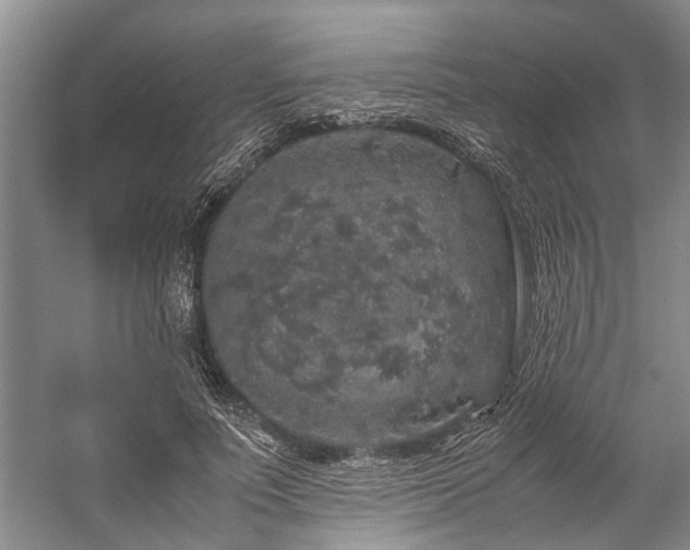 X0000060260691200510281206