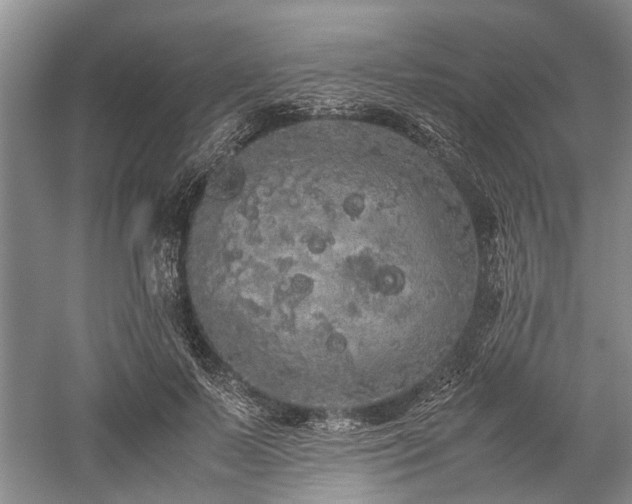 X0000060260695200510281206