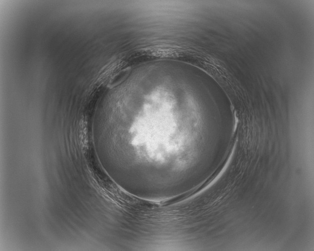 X0000060260696200510281206